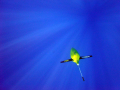 ENVRIplus D1.1-Fig. 7B-Drones for underwater measurements, (A) Sea explorer, (B) Seaglider.png